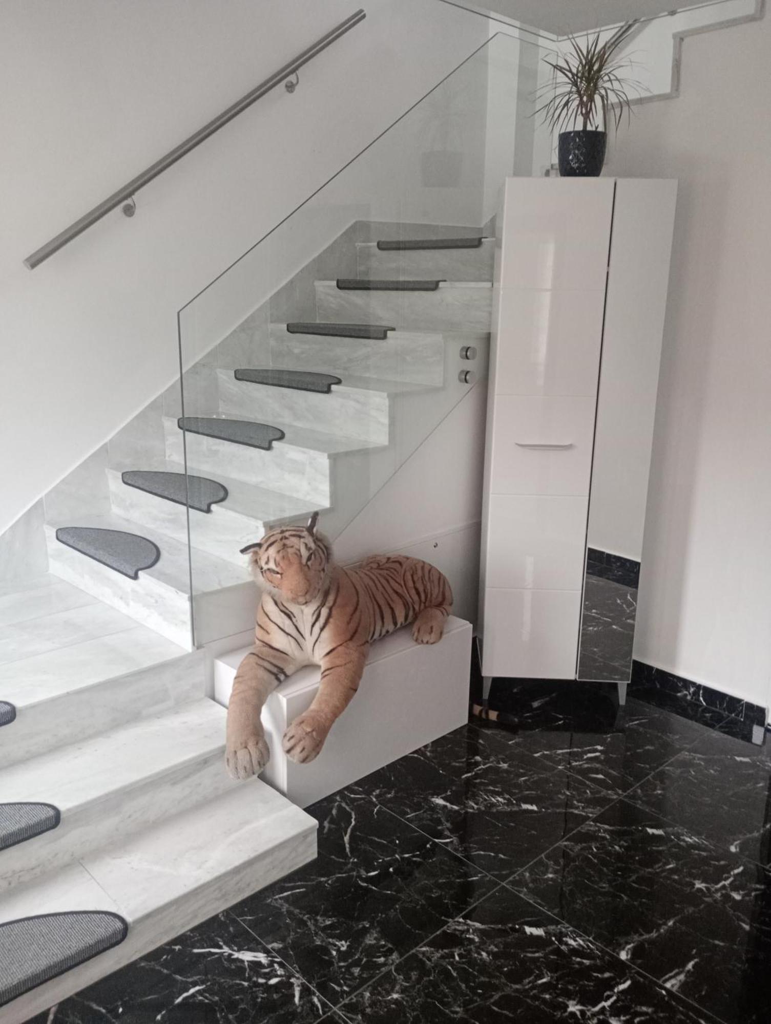 Izabella Guest House Sacele Luaran gambar