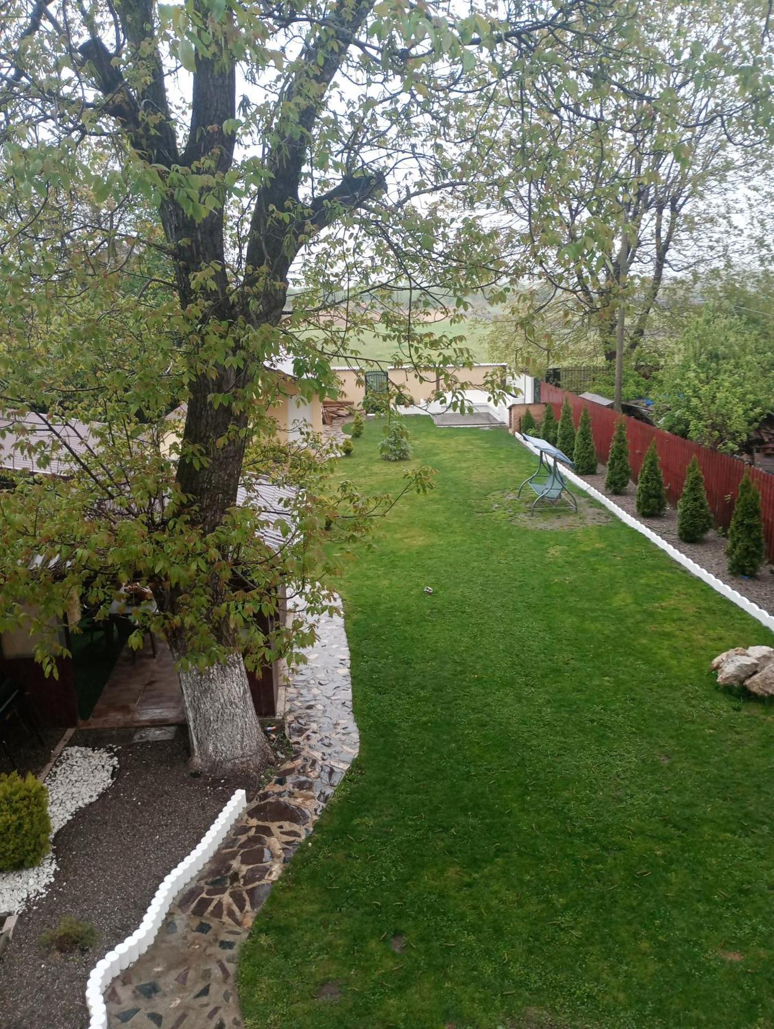 Izabella Guest House Sacele Luaran gambar